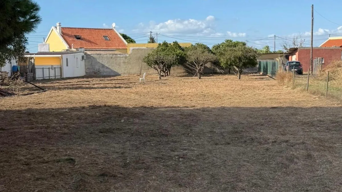 Limpeza de Terrenos — Soares Jardins