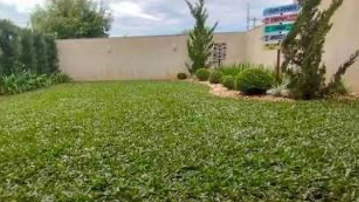 Manutenção de Jardins — Soares Jardins